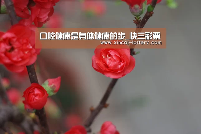 口腔健康是身体健康的步_快三彩票(图2) 快三彩票开奖查询
