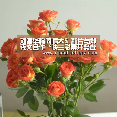 刘德华称同情大S 新片与郑秀文合作‘快三彩票开奖查询’(图1) 快三彩票走势分析