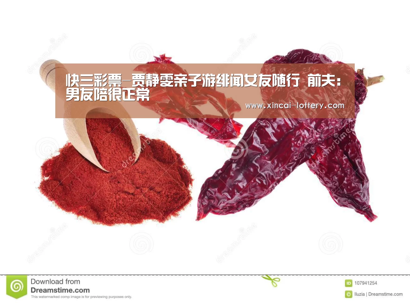 快三彩票-贾静雯亲子游绯闻女友随行 前夫:男友陪很正常(图3) 快三彩票开奖查询