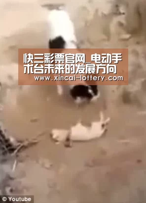 快三彩票官网_电动手术台未来的发展方向(图2) 快三彩票开奖查询