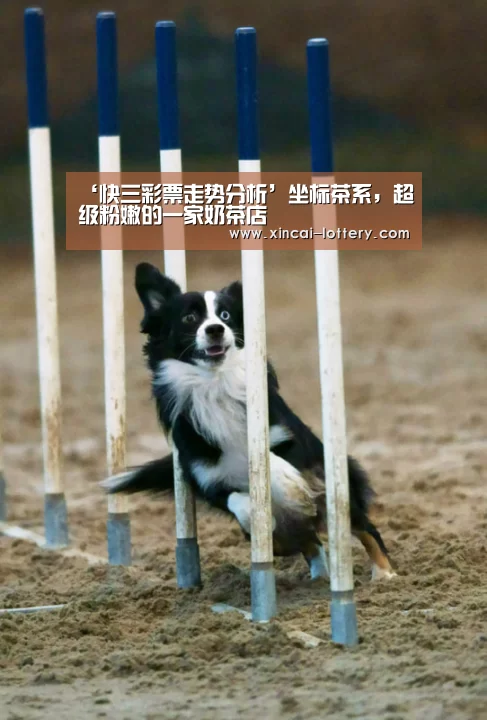 ‘快三彩票走势分析’坐标茶系,超级粉嫩的一家奶茶店(图4) 快三彩票走势分析