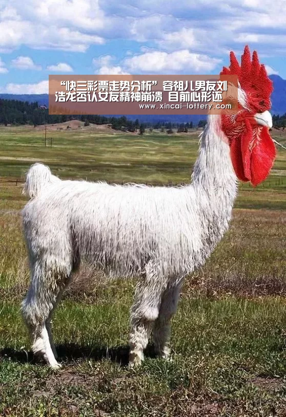 “快三彩票走势分析”容祖儿男友刘浩龙否认女友精神崩溃 目前心形还不错(图2) 快三彩票走势分析